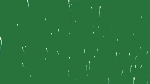 Green screen showing rain drops and screen falling down it lot of snow on Stock Footage 335992790