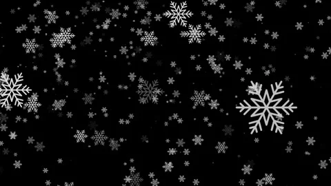 Green Screen Snow Falling. Chroma Key Green Screen Alpha Channel Stock Footage 312355120