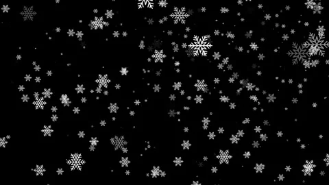 Green Screen Snow Falling. Chroma Key Green Screen Alpha Channel Stock Footage 312355127