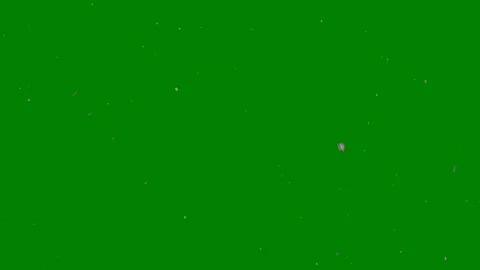 Green screen snow falling from top white background animated chromakey Stock Footage 314064254