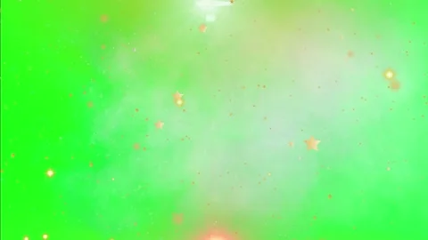 Green screen with sparkling gold particles Video stock 338222217