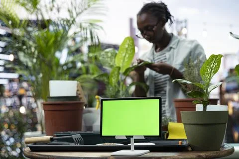 Green screen tablet on rooftop terrace table next to woman inspecting foliage Stock Photos