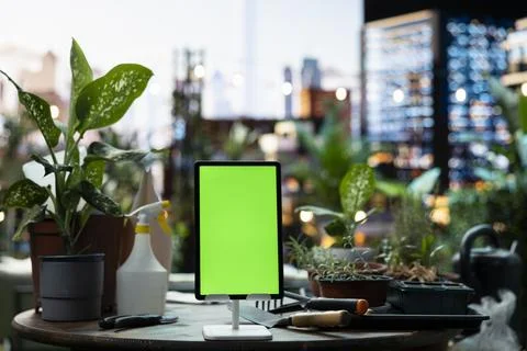 Green screen tablet on urban rooftop garden table beside potted plants Stock Photos