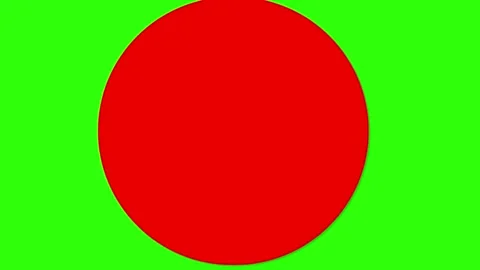 Green Screen Termarik Circle Animation Stock Footage 319017455