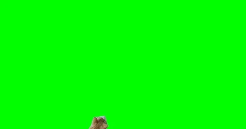 Green screen, top view slow motion shot of a yellow cat. Cat enters frame from b Stock Footage 90988630