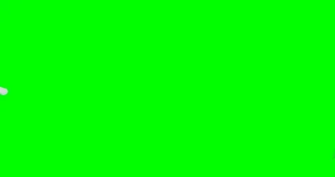 Green screen, top view slow motion shot of a colorful cat entering frame and exi Stock Footage 90991499