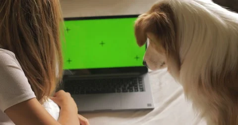 GREEN SCREEN tracking dot. Portrait of Pretty girl young women in headphones Stock Footage 233654204