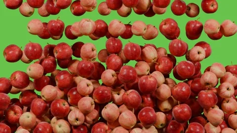 Green screen transition Apple falling down, animation Stock Footage 303485319