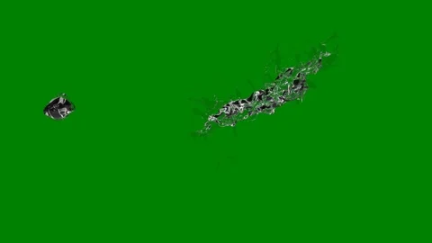 Green screen two birds flying over bees ants blackbird whale the letter s Stock Footage 314066813