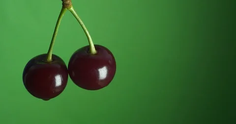 Green screen two cherries on a peduncle spinning Video stock 92060974