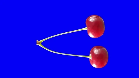 Green screen. Vertical composition. A pair of ripe cherries on a fused stalk Stock Footage 274640334