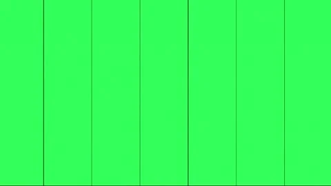 Green Screen Vertical Panel Wipe Transition Motion Graphic 動画素材 341890325