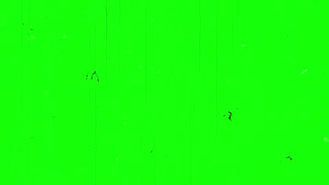 Green Screen Video Texture With Static Noise and Flicker Stock Footage 306638443