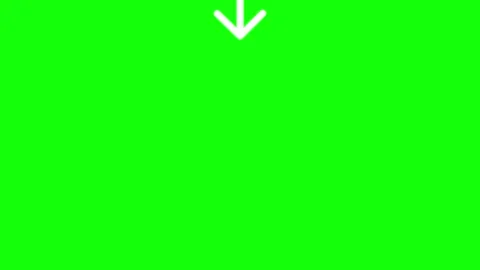 Green Screen Visual Element 库存影片 342788607