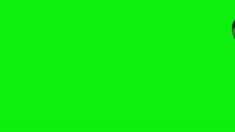 Green Screen Visual Element 库存影片 342789340