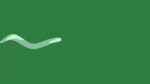 Green screen this is wave on arrow it scene layers cartoonish creative figure Stock Footage 336049937