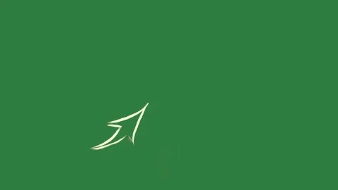 A green screen with white arrow on it and background bird flying in the sky Video stock 335131800