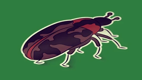A green screen with white background and sticker of bug on black red beetle an Video stock 335063903