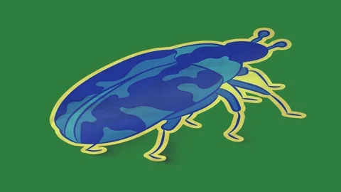 A green screen with white background and blue yellow object on beetle Видео 335063915