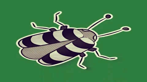 A green screen with white background and soccer ball on it black beetle object Видео 335063916