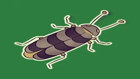 A green screen with white background and sticker of bug on black dog laying Vídeos de archivo 335063917