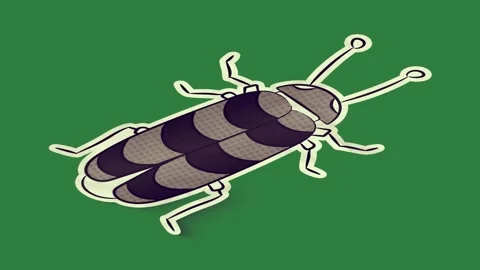 A green screen with white background and black beetle on bug snowboarder is Video stock 335063939