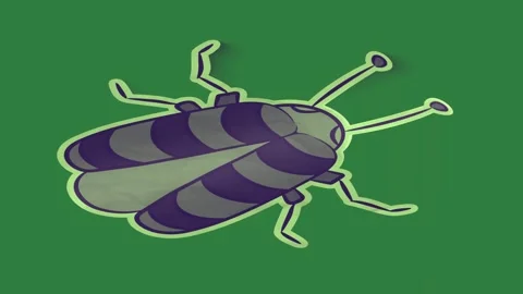 A green screen with white background and blue flower on it beetle an image of Vidéo 335063962