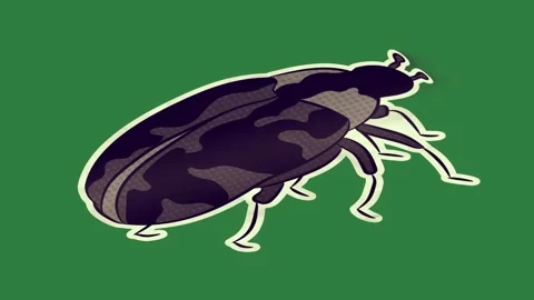 A green screen with white background and black dog on beetle object it cat Video stock 335063965