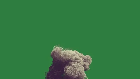A green screen with white background and dog on it ' s back an image of tree Video stock 335064135
