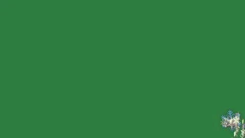 A green screen with white background and bunch of flowers snowflakes on it man Видео 335064448