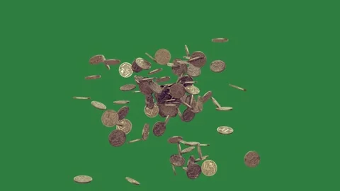A green screen with white background and bird flying in the air on pile of Video stock 335064888