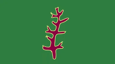 A green screen with white background and red yellow tree on logo an image of Видео 335065141
