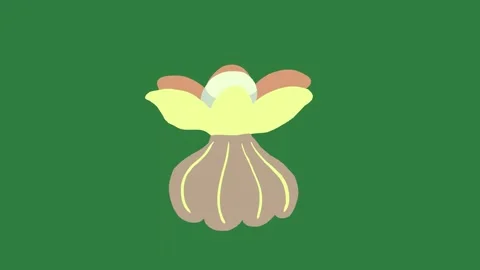 A green screen with white background and an image of flower on it illustration Video stock 335065191