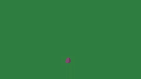A green screen with white background and purple egg on bag small dot computer Видео 335065194