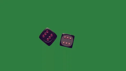 A green screen with white background and black cat on it pair of glasses shoes Видео 335065327