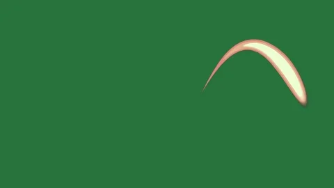 A green screen with white background and bird flying red arrow on it border Видео 335065493