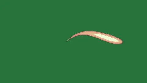 A green screen with white background and an image of small object border tooth Видео 335065496