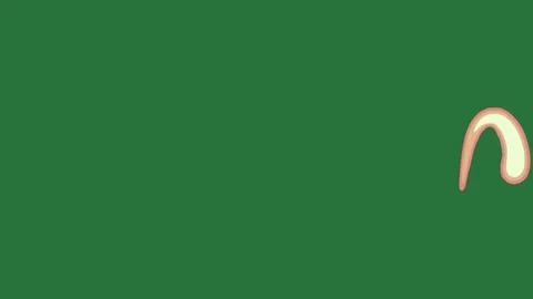 A green screen with white background and the letter m on it cartoon character Vidéo 335065508
