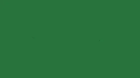 A green screen with white background and black cat on it border clock an image Видео 335065592