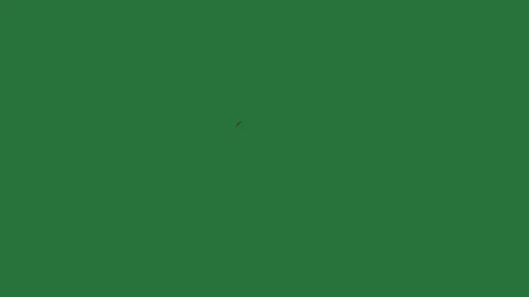 A green screen with white background and black lines border an image of person Video stock 335065595