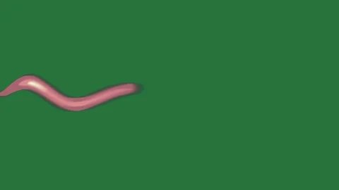 A green screen with white background and pink wave on heart it ribbon animated Видео 335065620