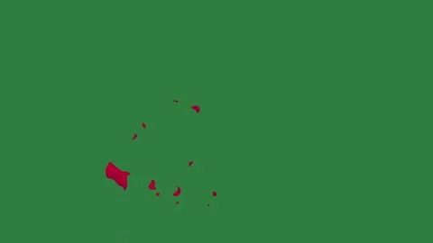 A green screen with white background and red dot flower on animated chromakey Vidéo 335065628