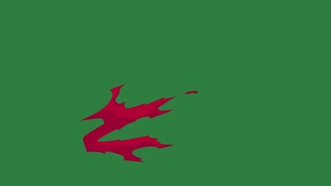 A green screen with white background and red object on it design bird stars Vidéo 335065644