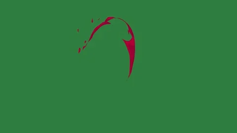 A green screen with white background and red line on it circle animated Stock Footage 335065651