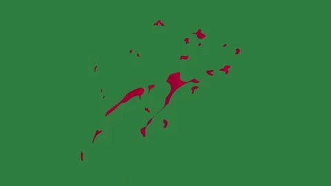 A green screen with white background and red splash on it dot arrow object Video stock 335065664