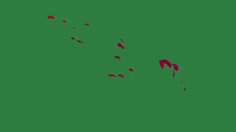 A green screen with white background and red dot on it dots bird flying over Видео 335065686
