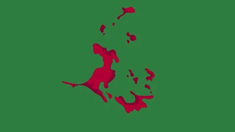 A green screen with white background and red dots on it bird flying through Video stock 335065695