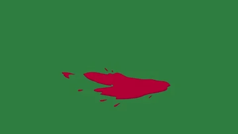 A green screen with white background and red heart on it animated chromakey Video stock 335065699