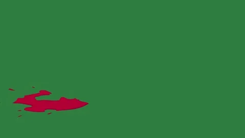 A green screen with white background and red arrow on it heart animated Video stock 335065700