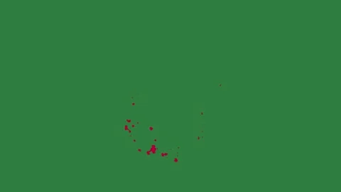 A green screen with white background and red dot on it line animated chromakey Stock-Footage 335065740